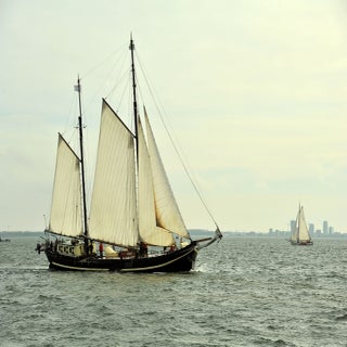DSC_1703JPG-1.jpg