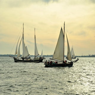 DSC_1714_cr2-1.jpg