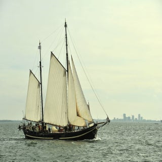 DSC_1702JPG-1.jpg