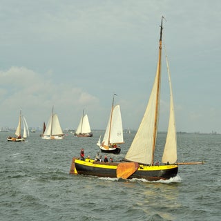 DSC_1669_cr-1.jpg