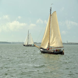 DSC_1690JPG-1.jpg