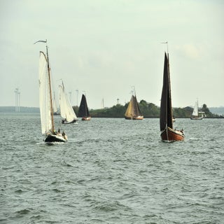 DSC_1642JPG-1.jpg