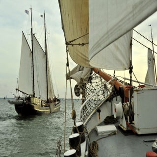 DSC_1730JPG-1.jpg