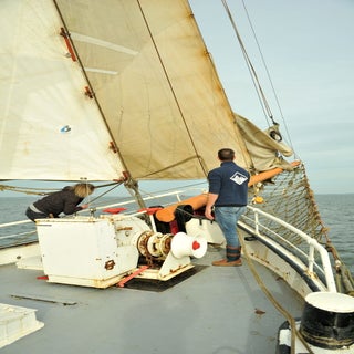 DSC_1618JPG-1.jpg