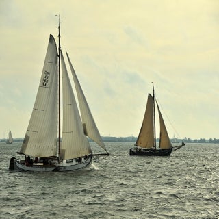 DSC_1638GroteJagerJPG-1.jpg