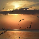 SunsetMeeuwen.jpg