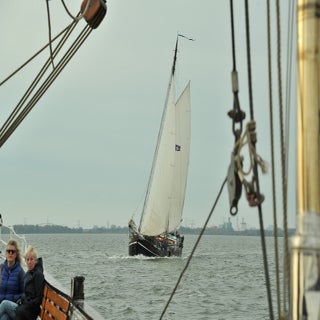 DSC_1790JPG-1.jpg
