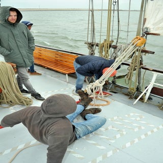 DSC_1931JPG-1.jpg