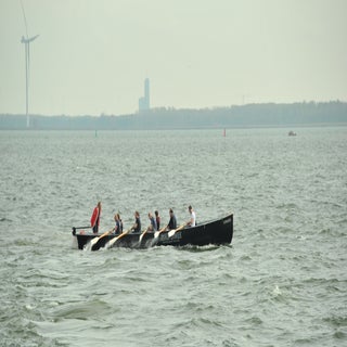 DSC_1684_cr-1.jpg