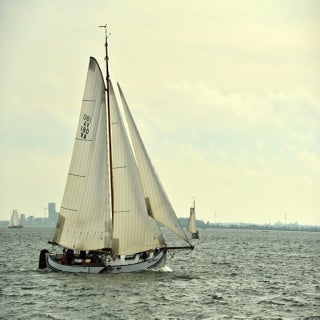 DSC_1636GroteJagerJPG-1.jpg