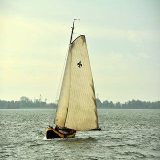 DSC_1655JPG-1.jpg