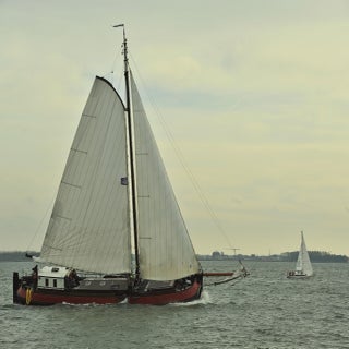 DSC_1784JPG-1.jpg