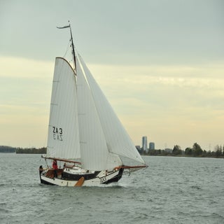 DSC_1894JPG-1.jpg