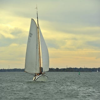 DSC_1864JPG-1.jpg
