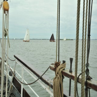 DSC_1873JPG-1.jpg