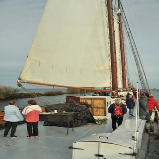 DSC_1607JPG-1.jpg