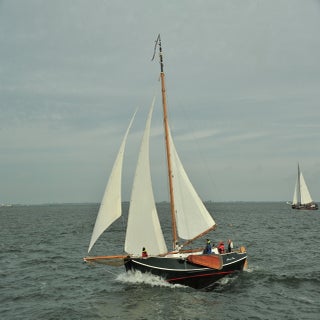 DSC_1650JPG-1.jpg