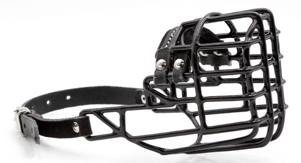 Wire Busket Muzzle
