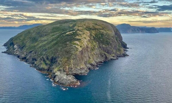 Big island tours with cod jigging, mackerel