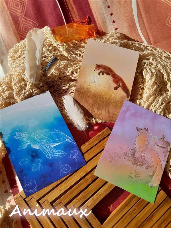 Lots de cartes illustrées