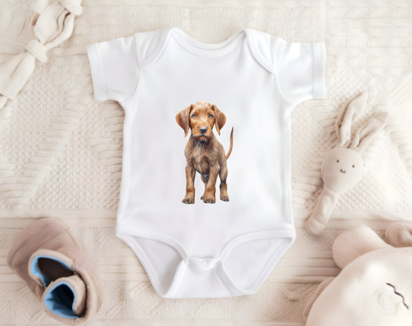 Romper korthaar of draadhaar