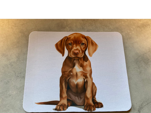 Muismat Vizsla pup zittend