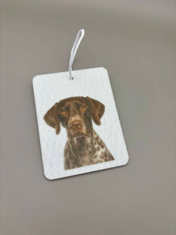 Hanger (luchtverfrisser)auto