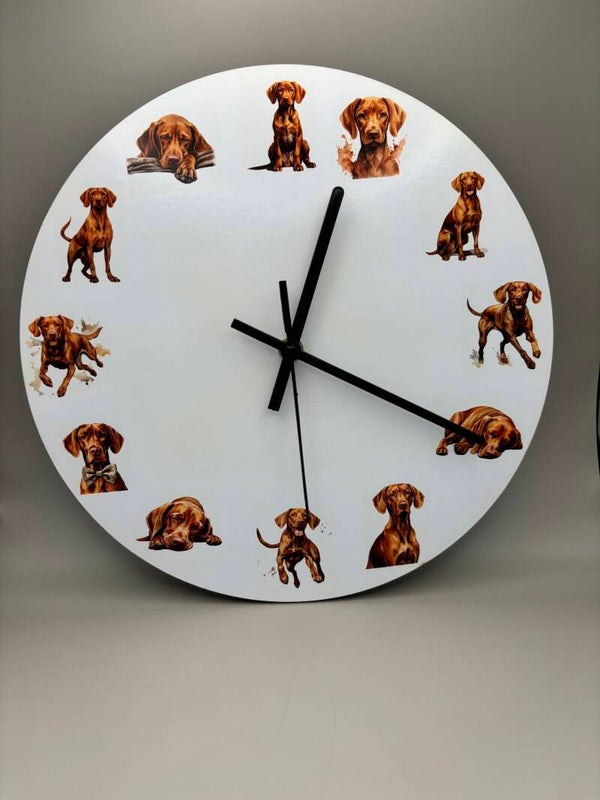 Vizsla o clock