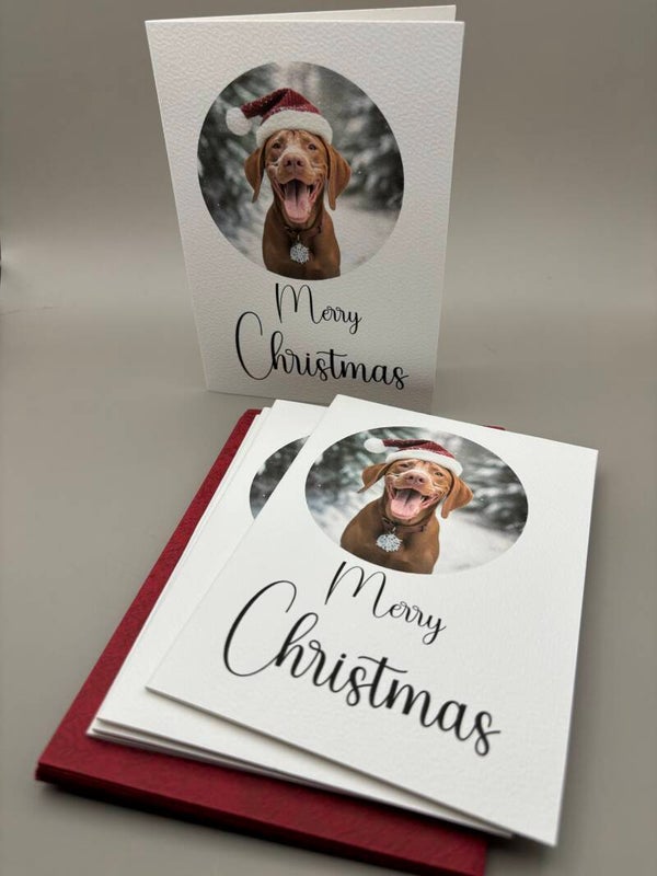 Set kerstkaart Vizsla kop