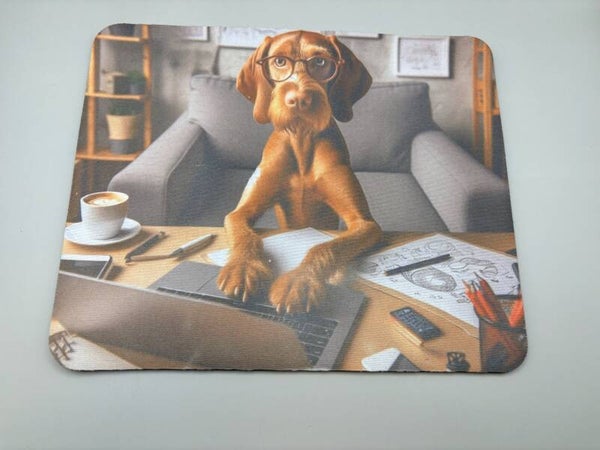 Muismat Vizsla draadhaar