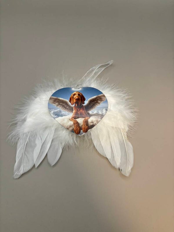 Vizsla hanger draadhaar 2