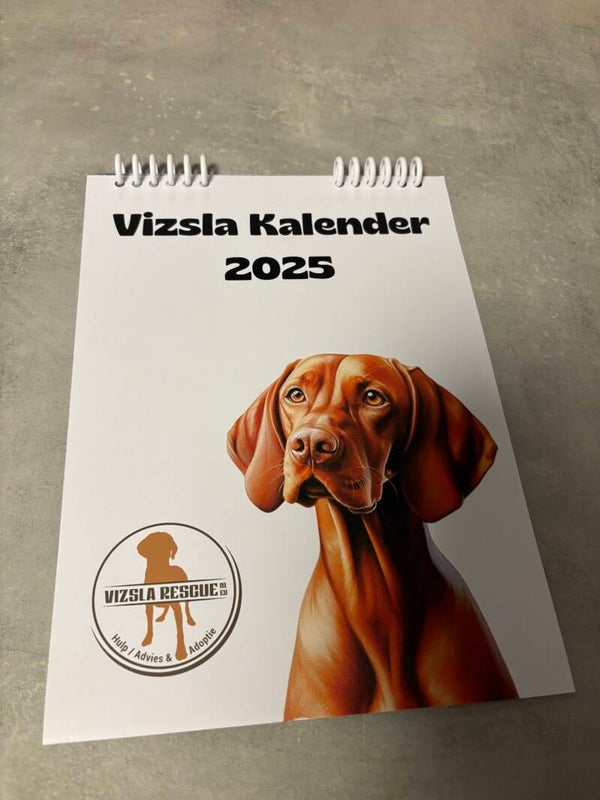 Vizsla kalender