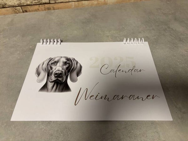 Weimaraner kalender 2025