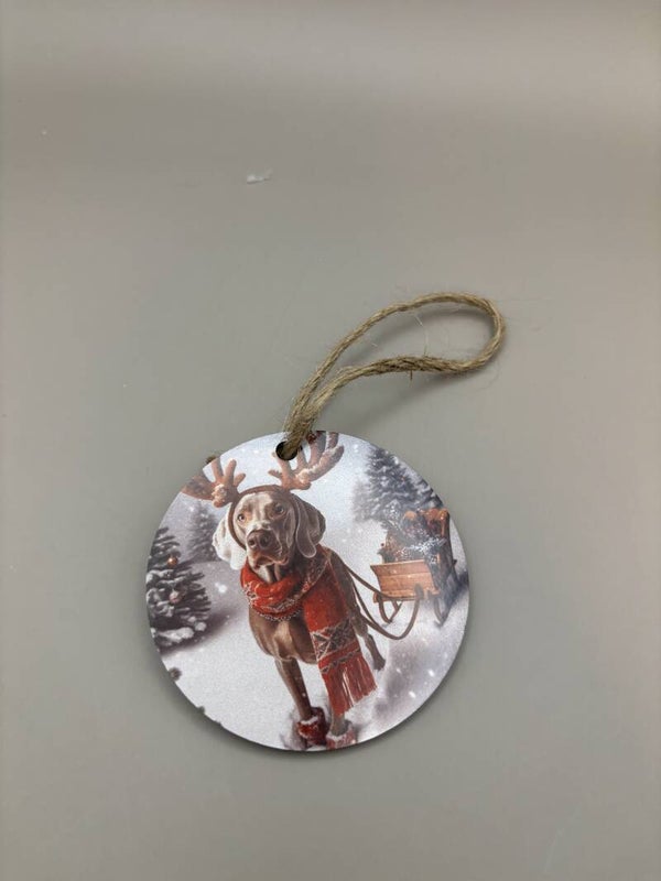 hanger weimaraner snow