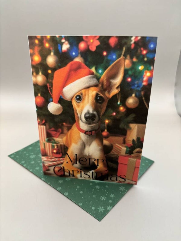 Kerstkaarten Podenco set van 5