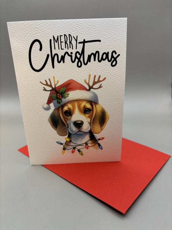 B eagle set 3 kerstkaarten set van 5