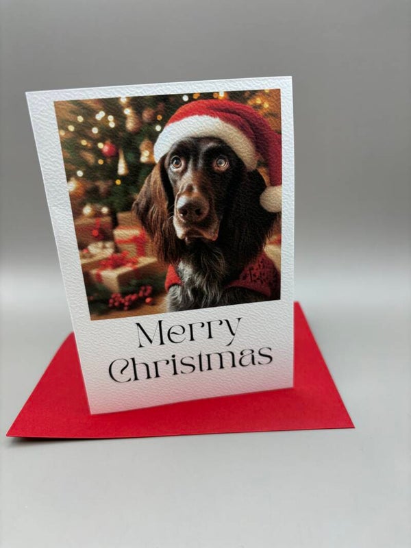 Kerstkaart set langhaar