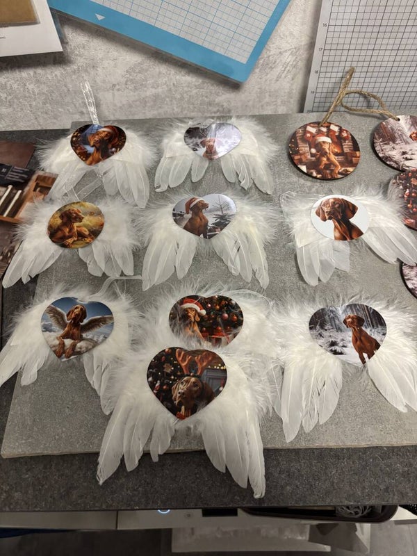 vleugels 4 voor 15 euro