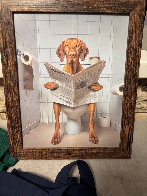 Lijst Vizsla WC 20x30