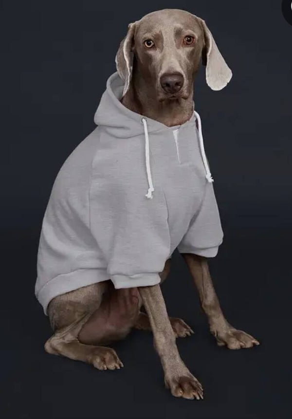 Hondentrui grijs met naam