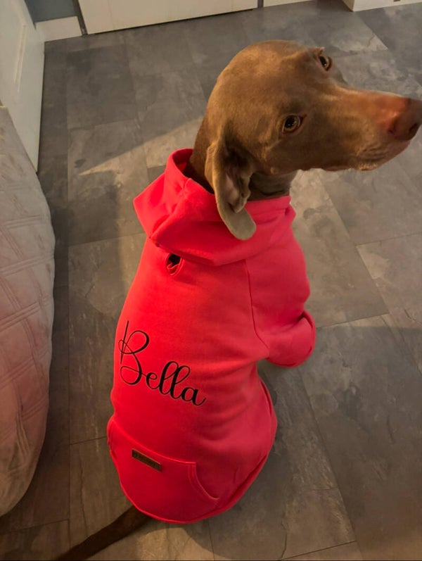 Hondentrui roze met naam