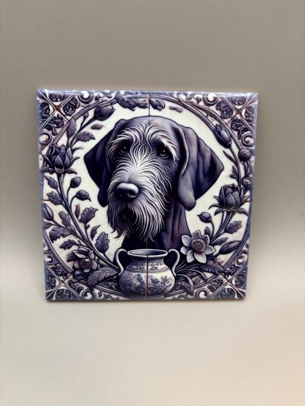 Tegel Vizsla draadhaar 3