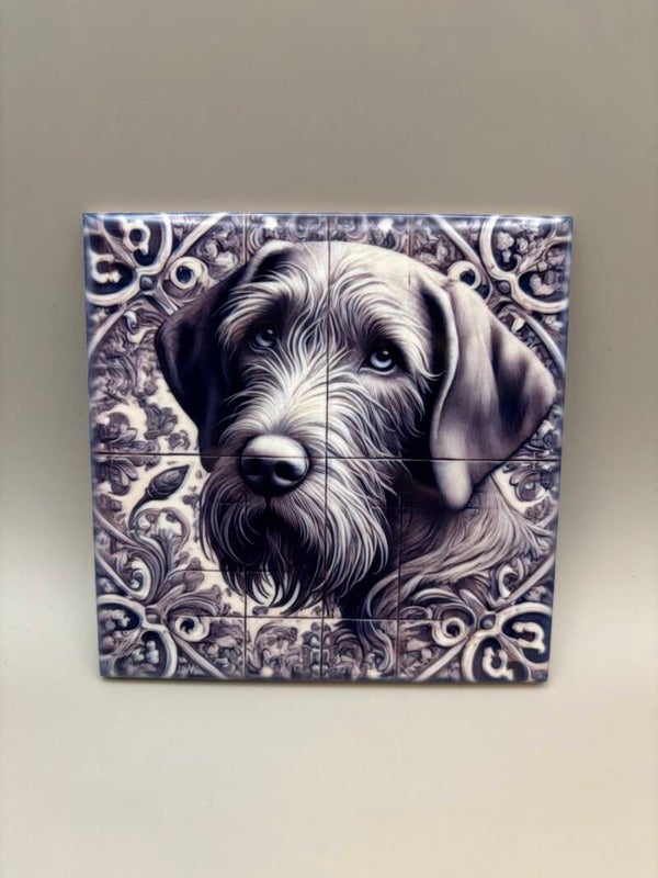 Tegel Vizsla draadhaar 1