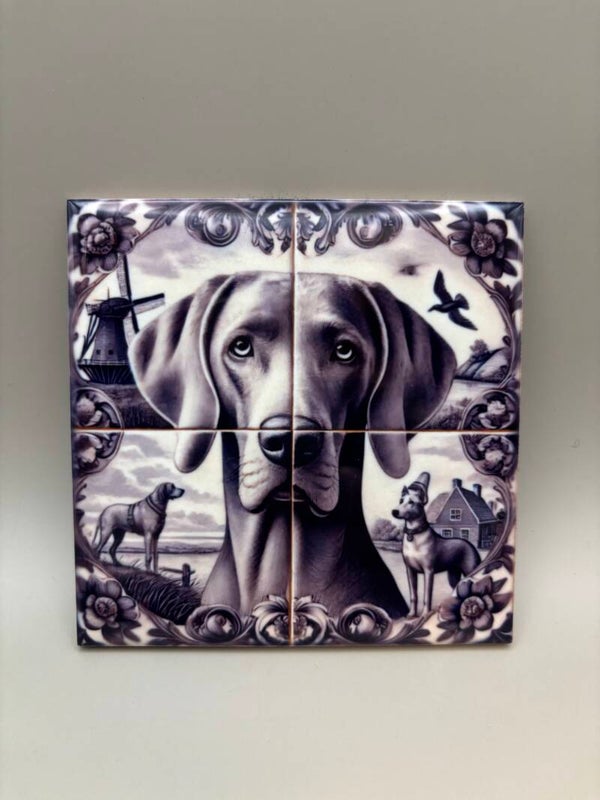 Tegel Weimaraner 1