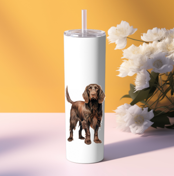 Tumbler DSL 600 ML