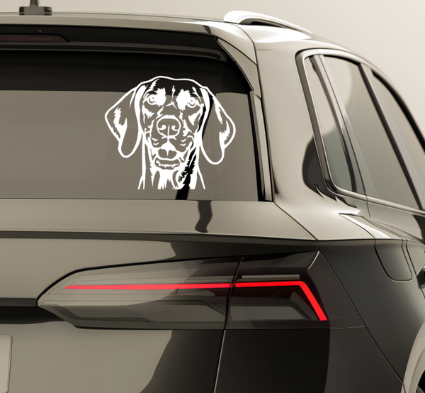 Autosticker kop 1
