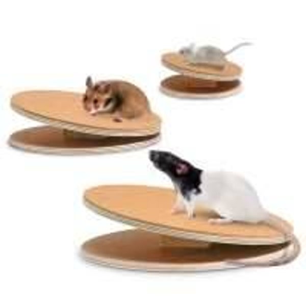 Karlie Flamingo Bogie Disc Laufscheibe mit Korkbeschichtung 16 cm