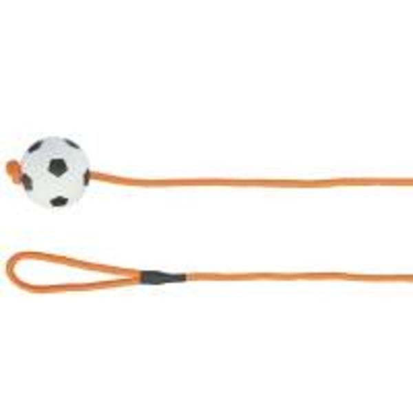 Trixie Moosgummiball am Seil - 6 cm / 1 m