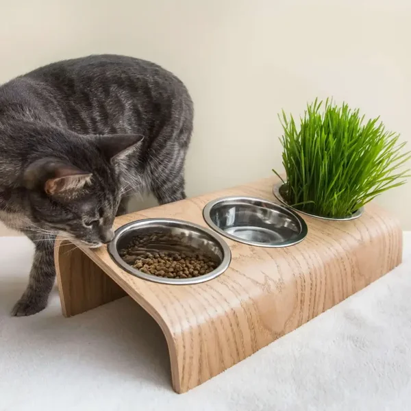 ValiaiDesign Futterstation mit 3 Schalen