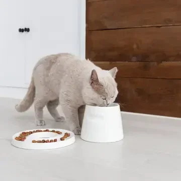 Tower Ergonomischer Fressnapf